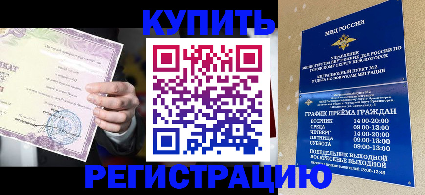 временная регистрация собственник в Клинцах